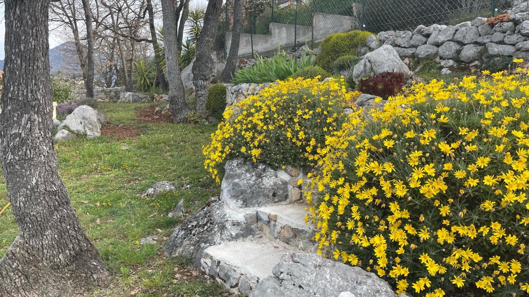 Rez De Jardin, Entre Mer Et Montagne Levens エクステリア 写真