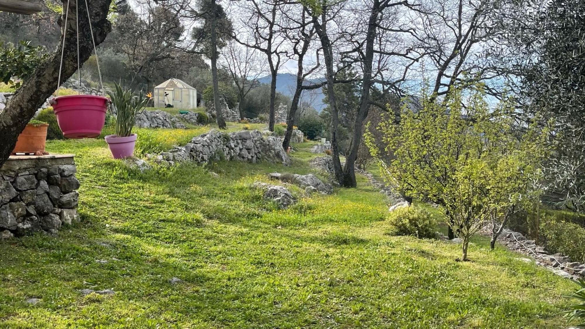 Rez De Jardin, Entre Mer Et Montagne Levens エクステリア 写真