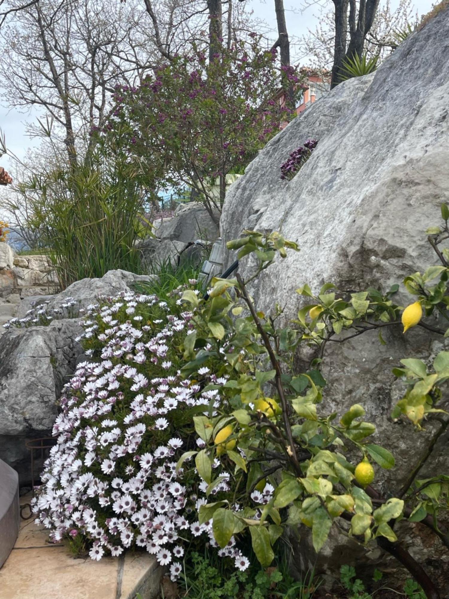 Rez De Jardin, Entre Mer Et Montagne Levens エクステリア 写真